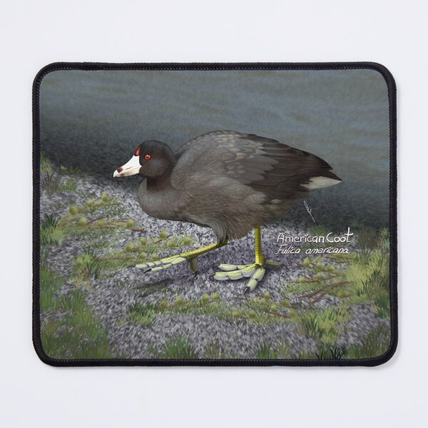 Item preview, AnemalSoul - American Coot designed and sold by AnemalSoul.