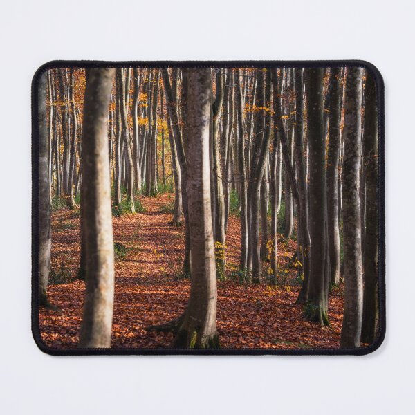 Item preview, Autumn Path in Niigata, Japan designed and sold by Jordan McChesney.