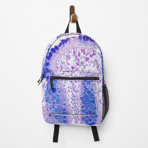 Item preview, Colon - Alcian Blue/PAS stain designed and sold by Damien Harkin.