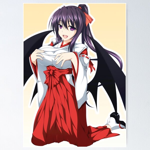 Anime Poster High School DxD characters Wall Scroll HD Painting