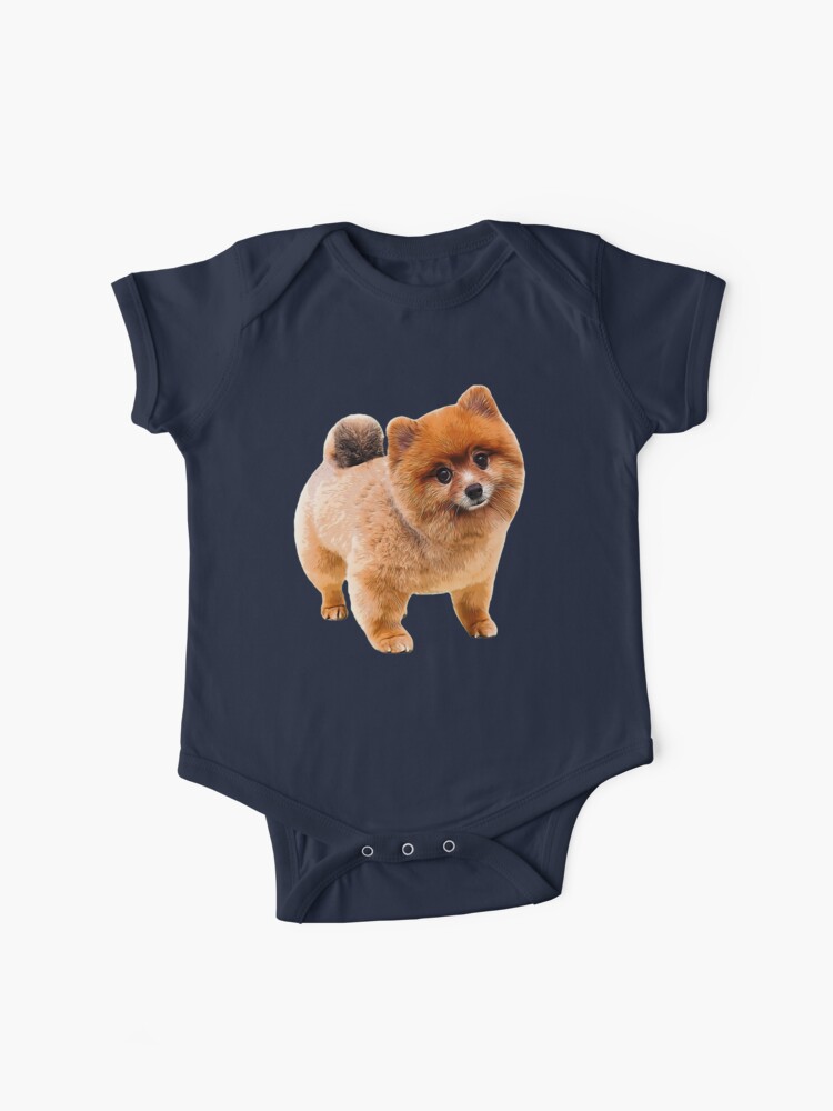 Pomeranian best sale boy clothes