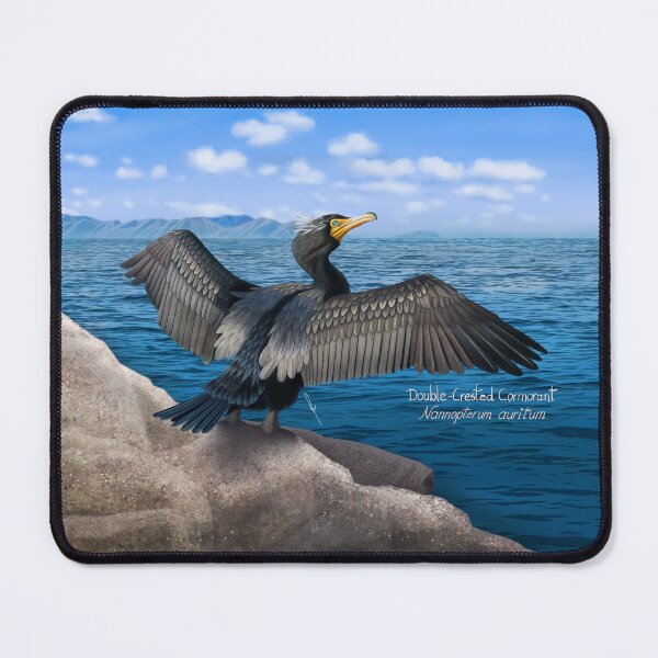 Item preview, AnemalSoul - Double-Crested Cormorant designed and sold by AnemalSoul.
