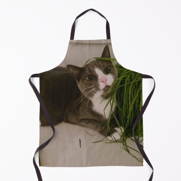 Item preview, Derpy Cat designed and sold by Stocky2020.