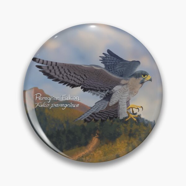 Item preview, AnemalSoul - Peregrine Falcon designed and sold by AnemalSoul.