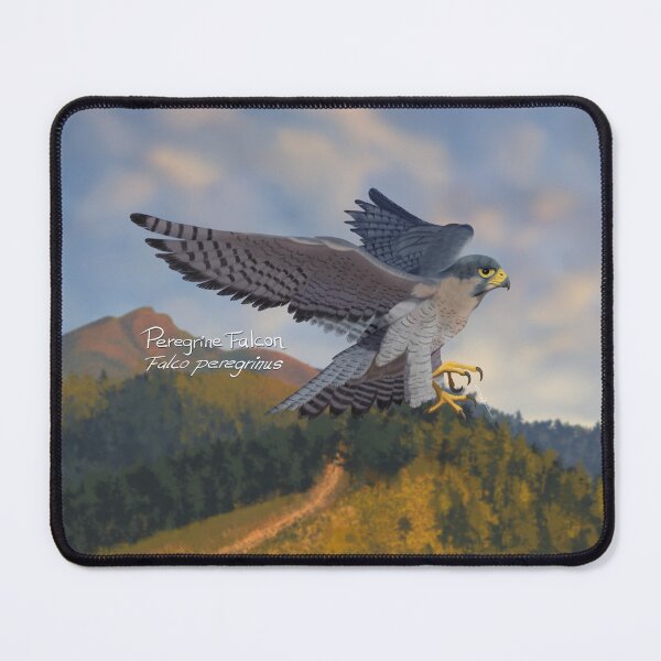 Item preview, AnemalSoul - Peregrine Falcon designed and sold by AnemalSoul.