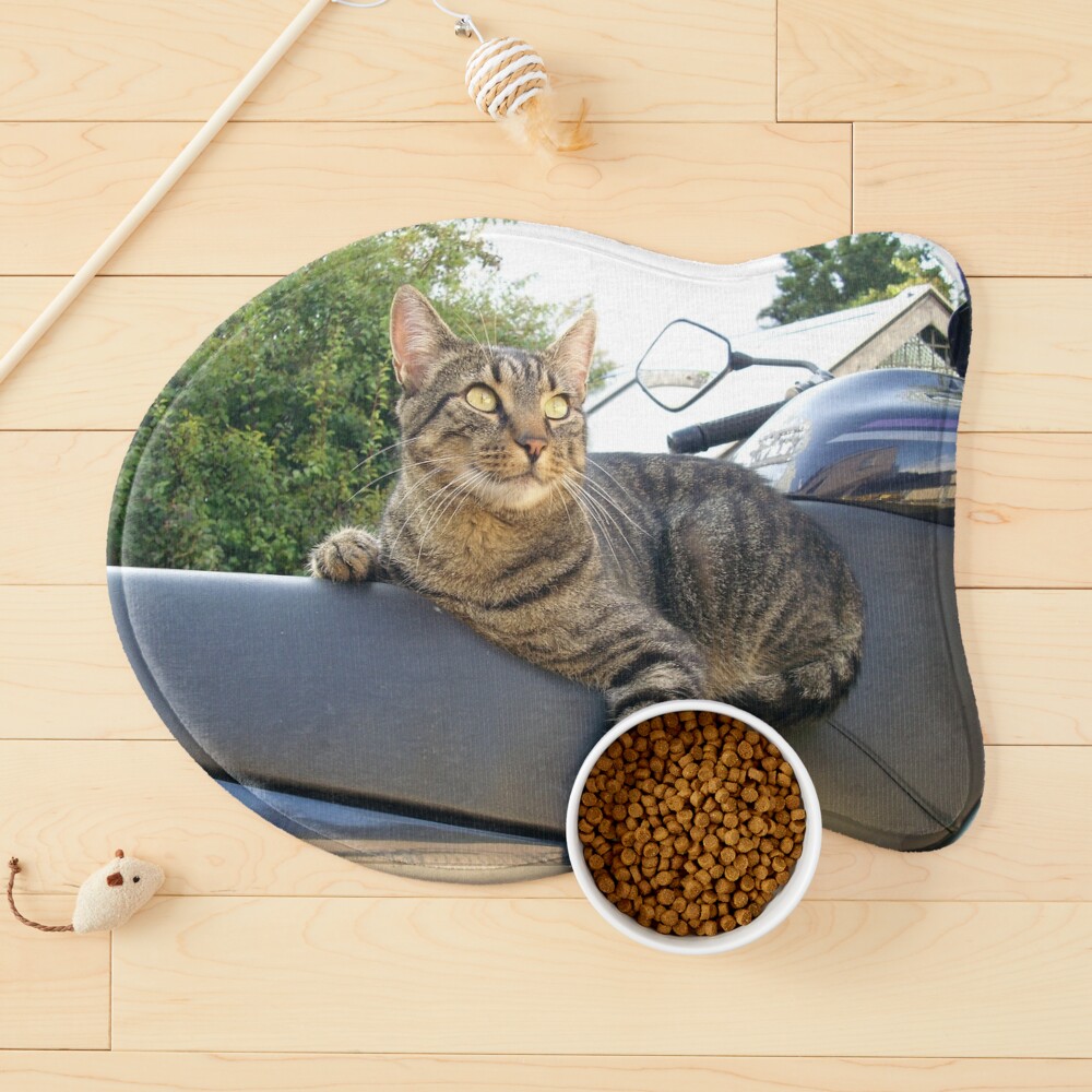 Artikel-Vorschau von Napfunterlage für Katzen, designt und verkauft von Sonja-Haueisen.