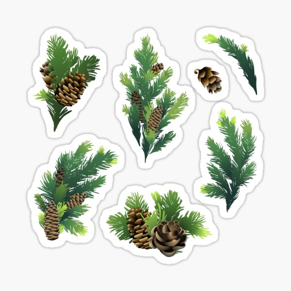 Pine tree branches and cones Sticker