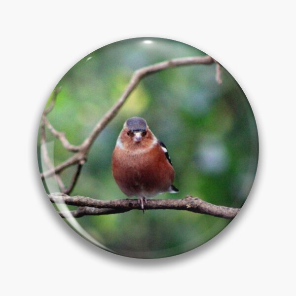 Item preview, chaffinch designed and sold by KathleenDawson.