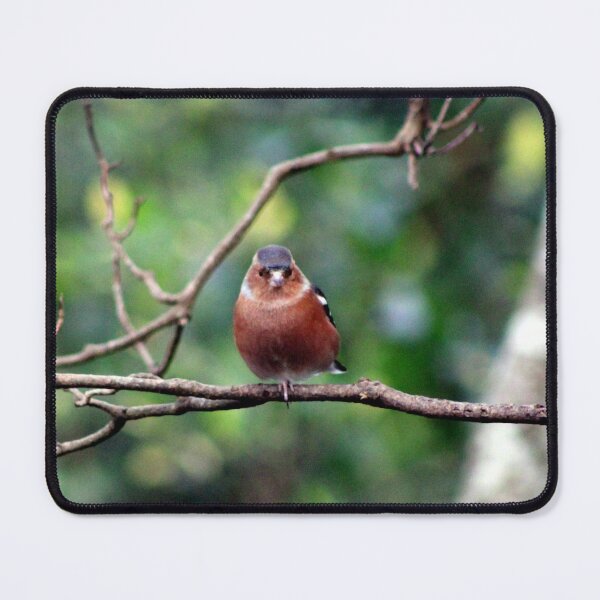 Item preview, chaffinch designed and sold by KathleenDawson.