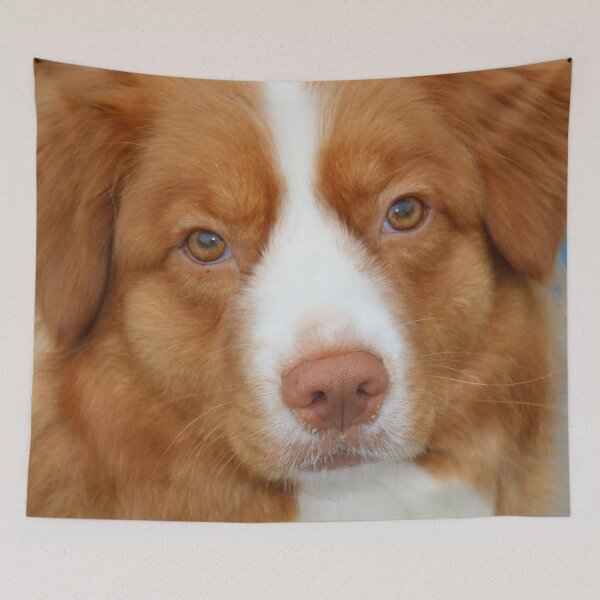 Item preview, Retriever (Nova Scotia Duck Tolling) designed and sold by AnnDixon.