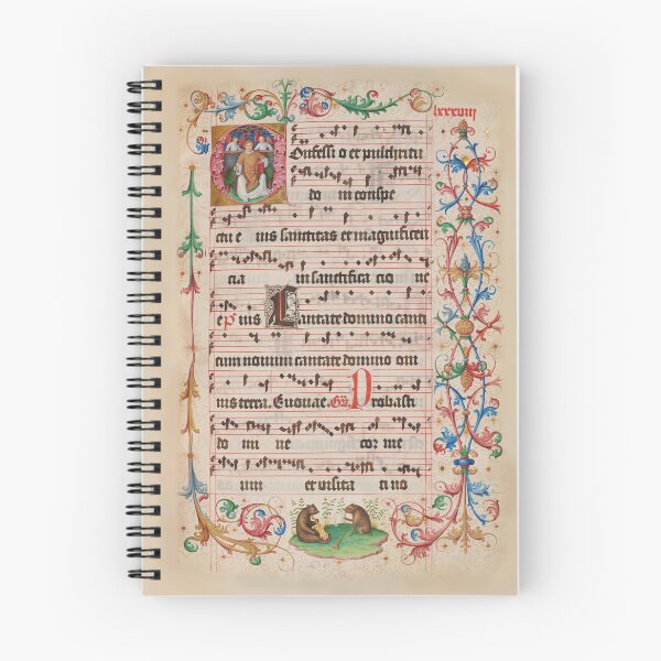 Item preview, Medieval Musicians: the Bear and Boar. ca 1460-1517 designed and sold by ebrawne.
