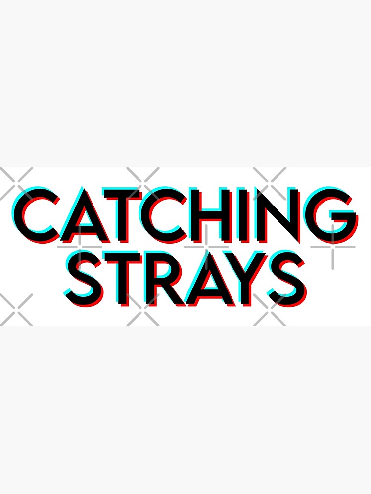 "Catching Strays" Poster for Sale by Redbubble