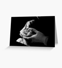 Birthday Greeting Card