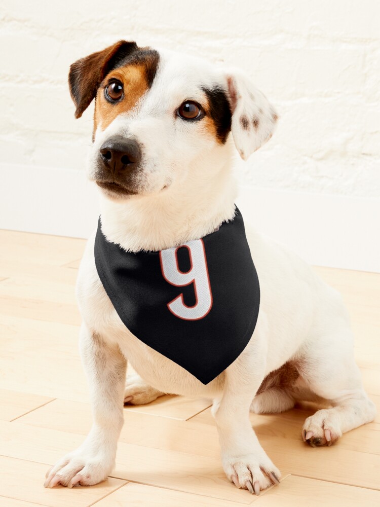 joe burrow dog jersey