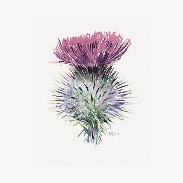Item preview, Scottish Thistle  designed and sold by arlyon art.