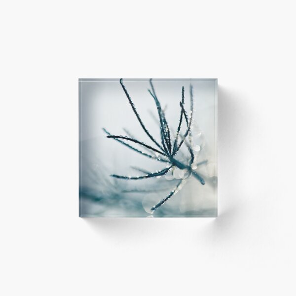 drops of light Acrylic Block