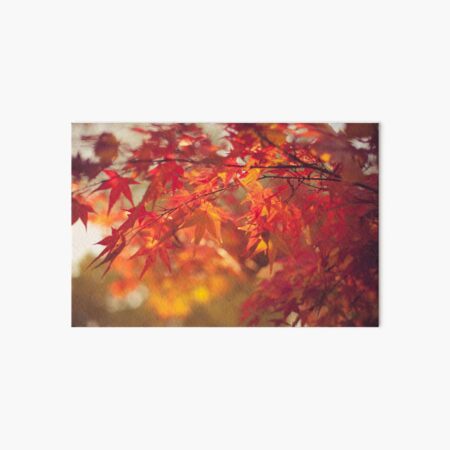 autumn Art Board Print