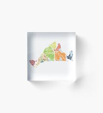 Map of Martha's Vineyard Acrylic Block