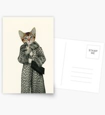 Kitten Dressed as Cat Postcards
