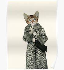 Kitten Dressed as Cat Poster