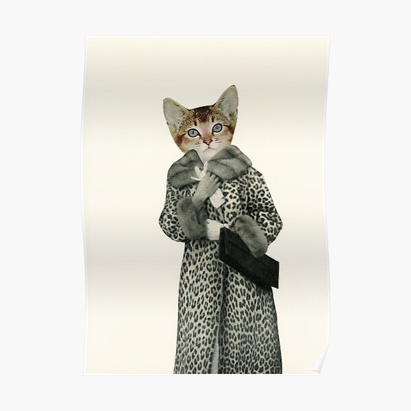 Kitten Dressed as Cat Poster
