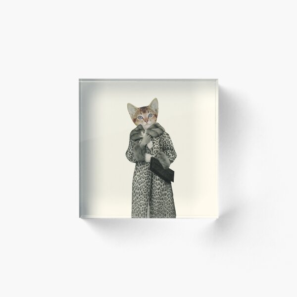 Kitten Dressed as Cat Acrylic Block