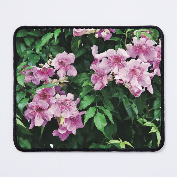 Item preview, Pink Trumpet Vine designed and sold by Nerone.