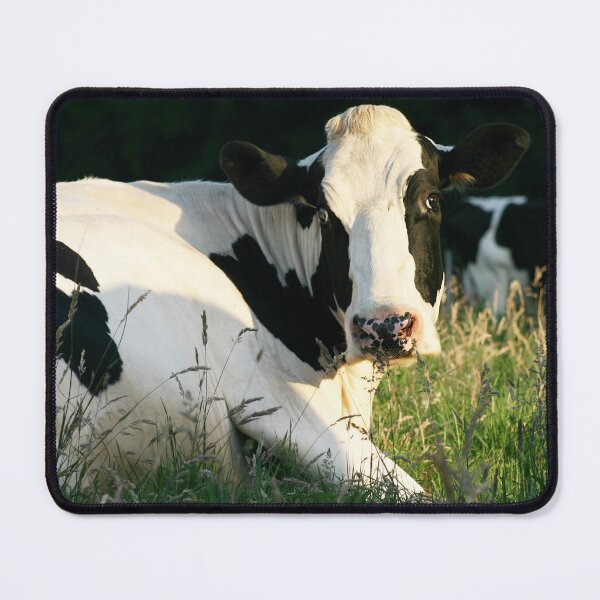 Item preview, Dairy Cow designed and sold by ernest123.