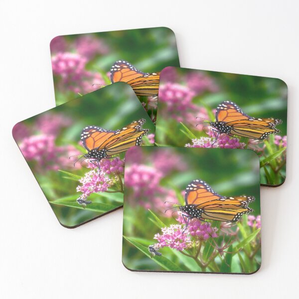 Open Wing Monarch Coasters (Set of 4)
