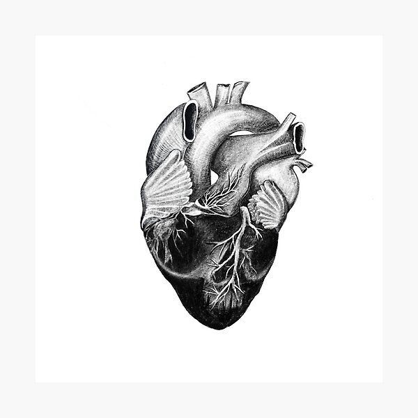 Item preview, Coal Hearts designed and sold by antiviste.