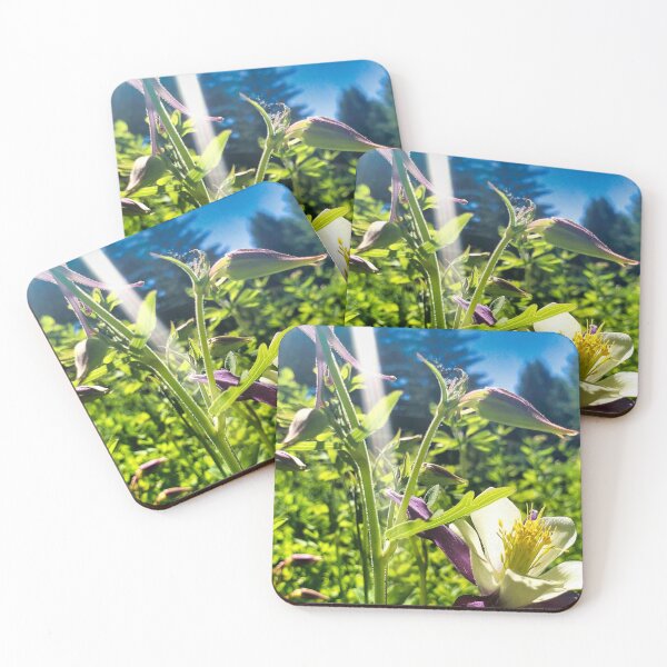 Item preview, Colorado Blue Columbine designed and sold by OnigiriSuiko.