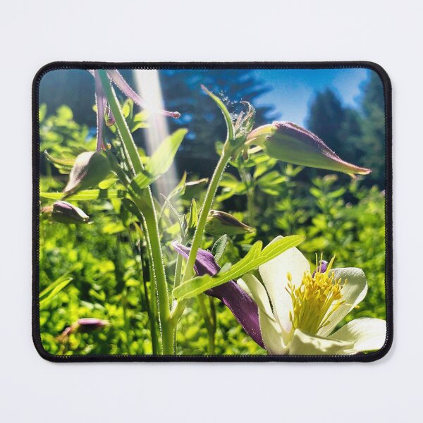 Item preview, Colorado Blue Columbine designed and sold by OnigiriSuiko.