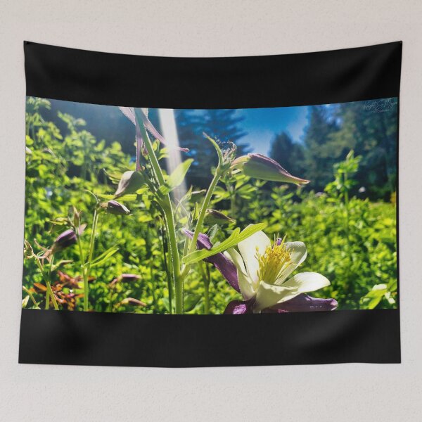Item preview, Colorado Blue Columbine designed and sold by OnigiriSuiko.