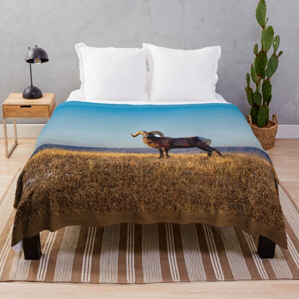 Item preview, Big Horn Sheep in the Badlands - SD designed and sold by Kathy Weaver.