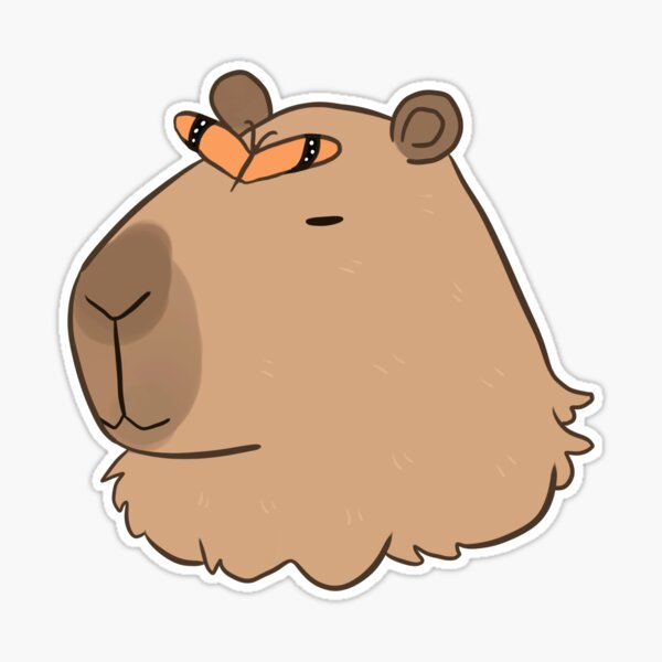 Cartoon Capybara Stickers, Laptop Stickers Kids