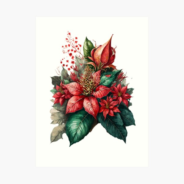 Christmas Poinsettia Vector Art PNG Images | Free Download On Pngtree