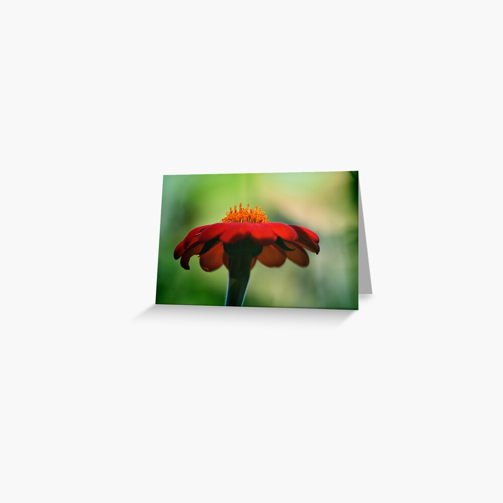 Item preview, Greeting Card designed and sold by idnurse41.