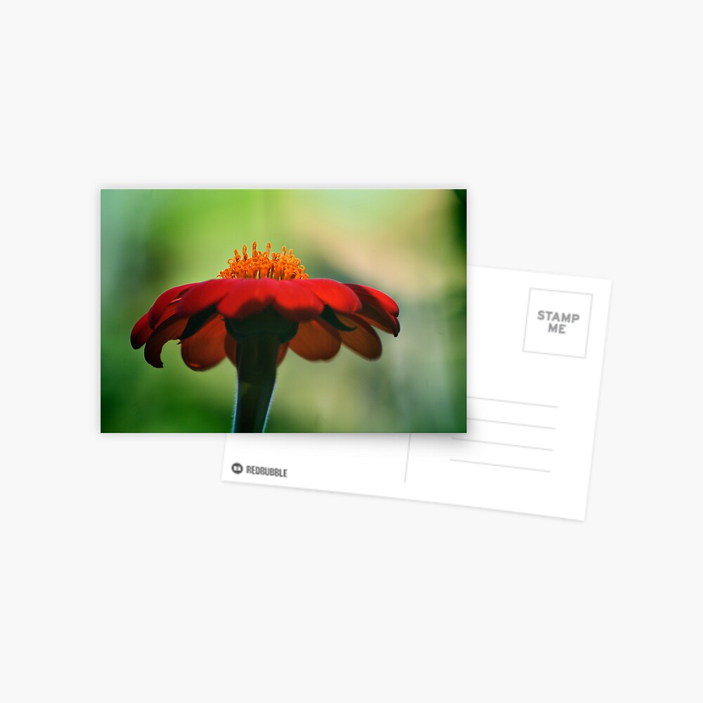 Item preview, Postcard designed and sold by idnurse41.