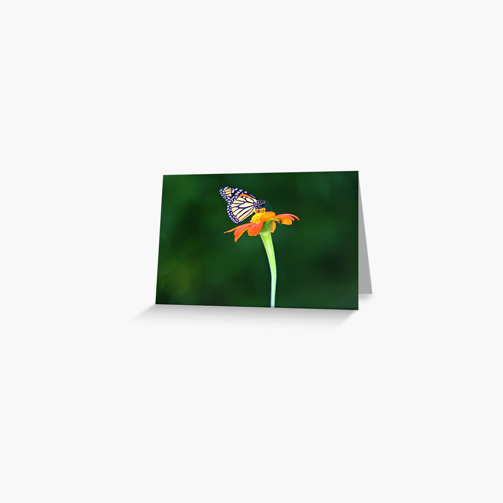 Item preview, Greeting Card designed and sold by idnurse41.