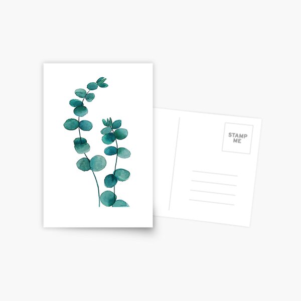 eucalyptus leaf watercolor  Postcard