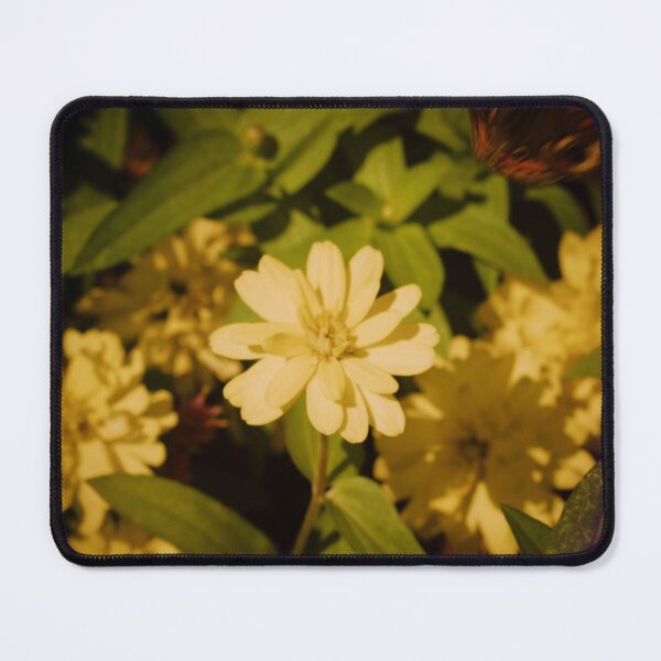 Item preview, Setting Forth designed and sold by Melanie Uadjit.
