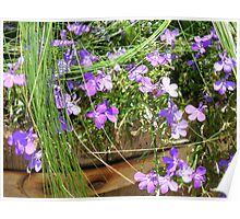 "Little Dainty Violet Flowers" by BethofArt | Redbubble