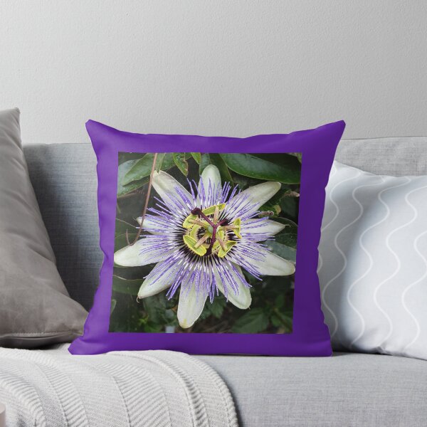 Item preview, Bizarre and beautiful purple passiflora flower (passion flower) photo designed and sold by Pixtela ..
