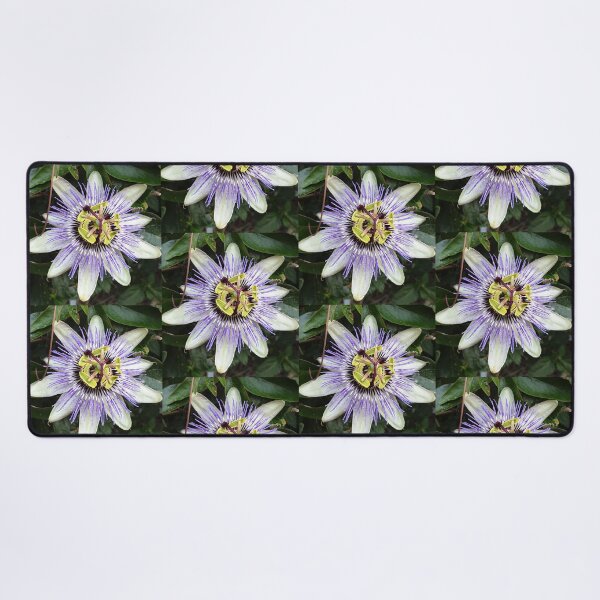 Item preview, Bizarre and beautiful purple passiflora flower (passion flower) photo designed and sold by Pixtela ..