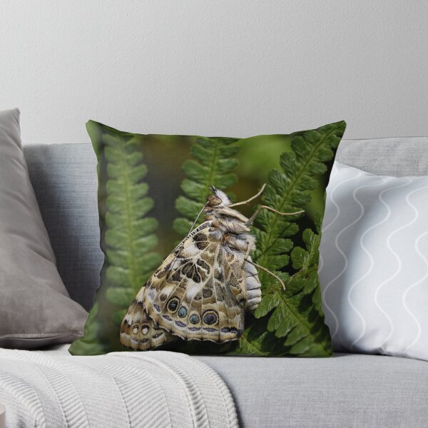 Item preview, Painted Lady butterfly designed and sold by Christian Moss.