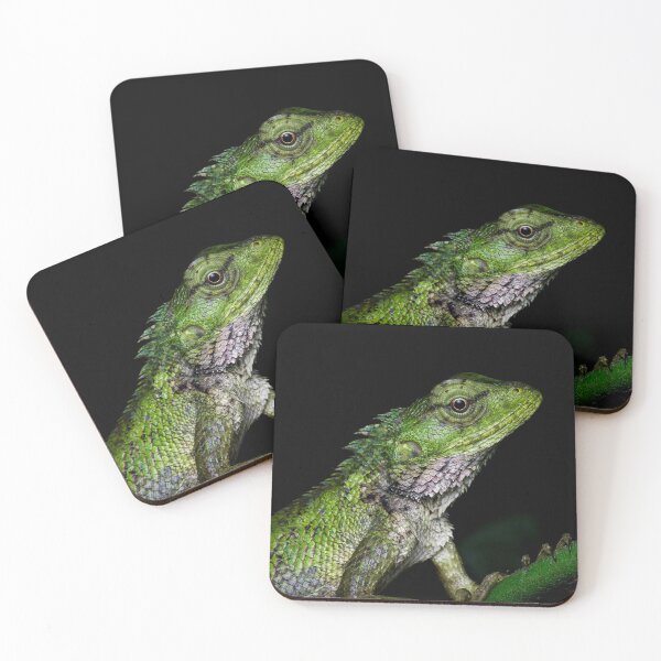 Item preview, A close up of a changeable lizard (Calotes versicolor) designed and sold by AvonPerception.