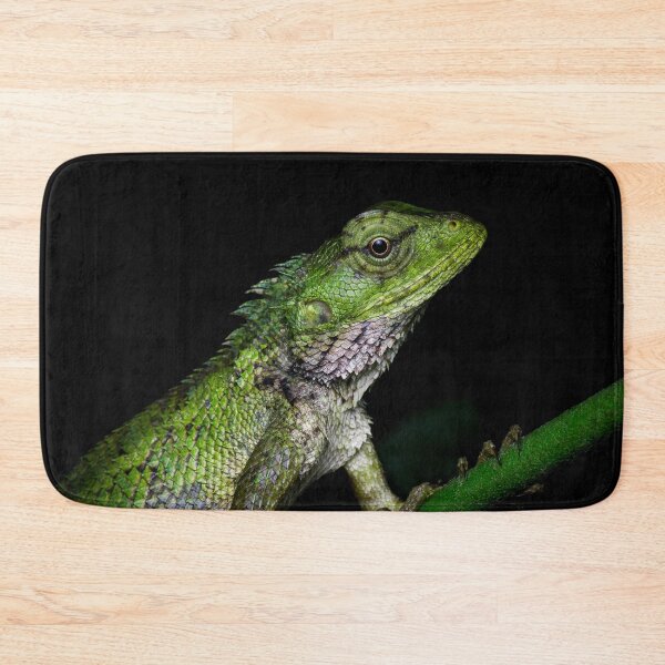 Item preview, A close up of a changeable lizard (Calotes versicolor) designed and sold by AvonPerception.