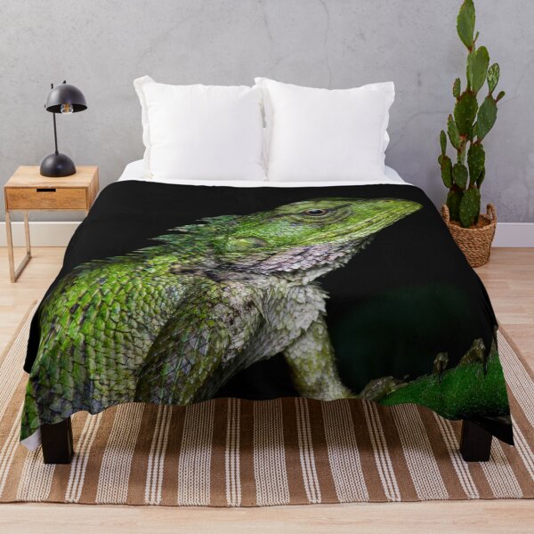 Item preview, A close up of a changeable lizard (Calotes versicolor) designed and sold by AvonPerception.