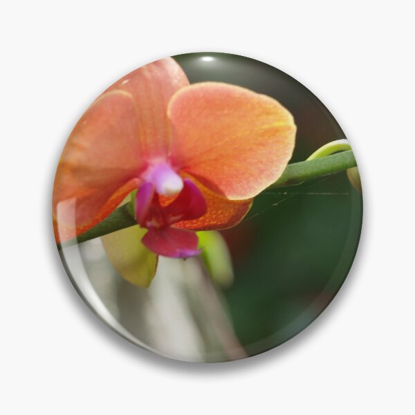 Item preview, Phalaenopsis  designed and sold by ginnymac.