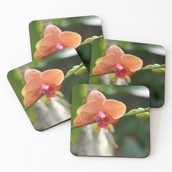 Item preview, Phalaenopsis  designed and sold by ginnymac.